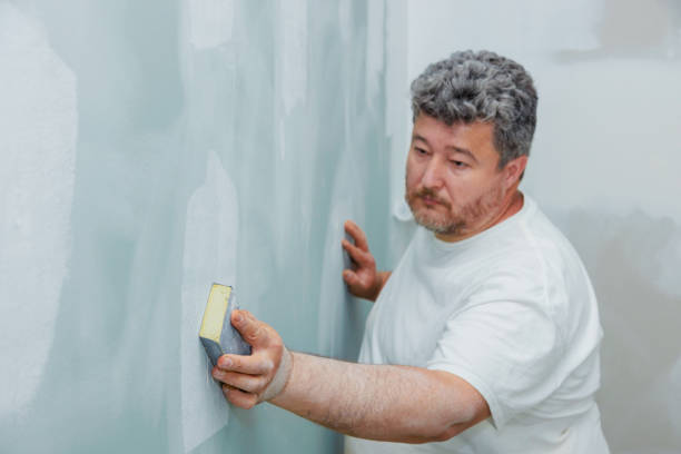 Best Drywall Crack Repair  in Ofallon, IL